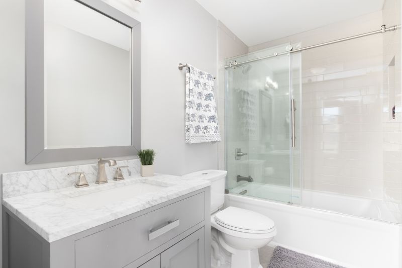 Top Tub To Shower Conversion Companies in Perkasie, PA